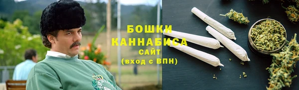 индика Лагань