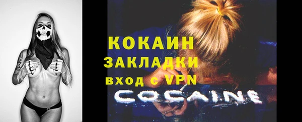 шишки Армянск