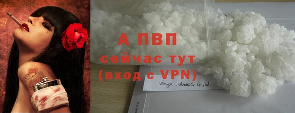 крисы Арсеньев