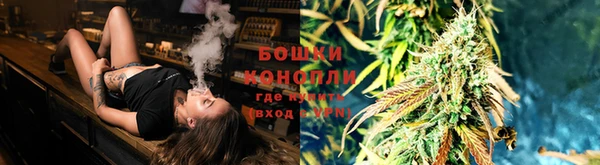 шишки Армянск