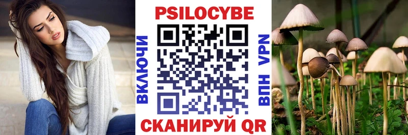 Галлюциногенные грибы Psilocybine cubensis  Мичуринск 