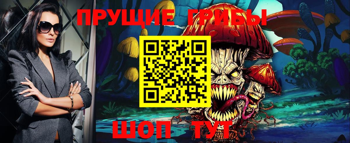 Псилоцибиновые грибы Psilocybine cubensis Мичуринск