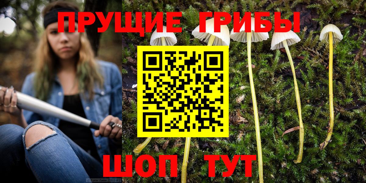 Псилоцибиновые грибы Cubensis Мичуринск